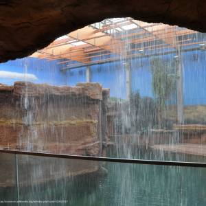 Afrykarium we Wrocławiu - afrykarium we wroclawiu 5