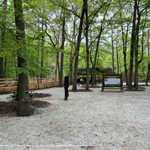 Zagroda Pokazowa Żubrów w Międzyzdrojach - nationalpark wolin bisonfarm lub 2023 05 20 img01