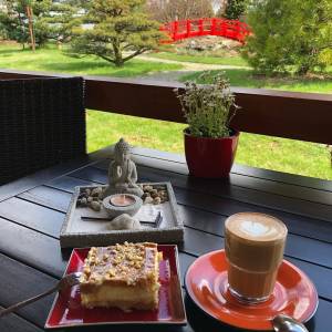 Ogród japoński w Pisarzowicach - ogrod japonski w pisarzowicach 8