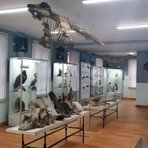 Muzeum Rybołówstwa Morskiego w Świnoujściu - muzeum rybolowstwa morskiego w swinoujsciu 1