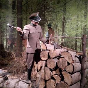 Muzeum Przyrodnicze Świętokrzyskiego Parku Narodowego - muzeum przyrodnicze swietokrzyskiego parku narodowego2