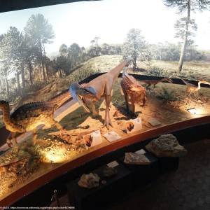 Muzeum Przyrody i Techniki im. Jana Pazdura w Starachowicach - wystawa paleontologiczna 2 starachowice