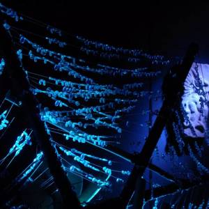 Muzeum Karkonoskie Tajemnice w Karpaczu - muzeum karkonoskie tajemnice w karpaczu 4