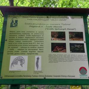 Źródło Spełnionych Marzeń w Złotym Potoku - zrodlo spelnionych marzen w zlotym potoku 4