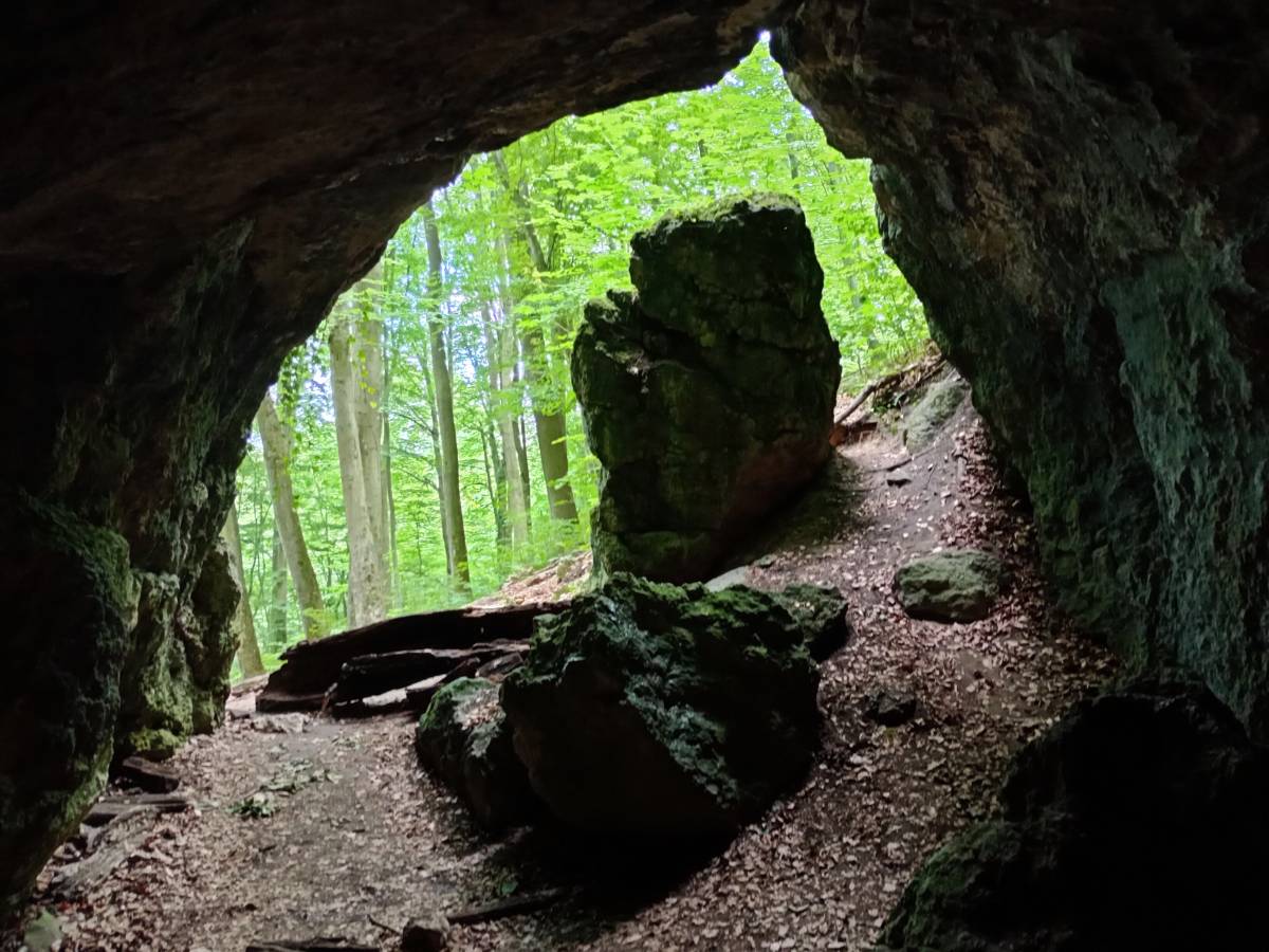 Jaskinia Grota Niedźwiedzia - jaskinia grota niedzwiedzia 8