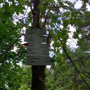 Jaskinia Grota Niedźwiedzia - jaskinia grota niedzwiedzia 4
