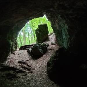 Jaskinia Grota Niedźwiedzia - jaskinia grota niedzwiedzia 9