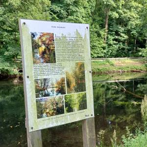 Staw "Zygmunt" w Złotym Potoku - staw zygmunt w zlotym potoku 2