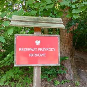 Rezerwat przyrody "Parkowe" - rezerwat przyrody parkowe