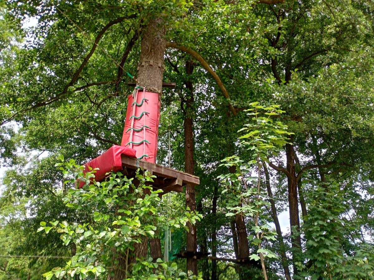 Jurajski Park Linowy - jurajski park linowy 3