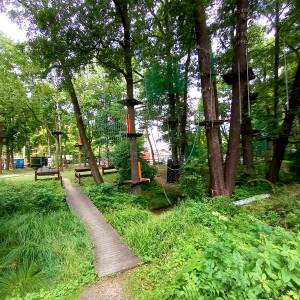 Jurajski Park Linowy - jurajski park linowy 1