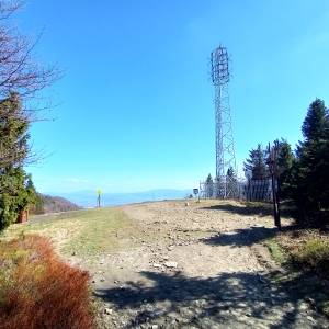 Klimczok (1117 m. n.p.m.) - klimczok 1