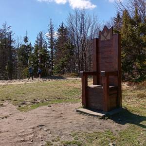 Klimczok (1117 m. n.p.m.) - klimczok 11