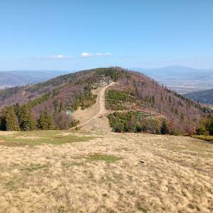 Klimczok (1117 m. n.p.m.) - klimczok 16