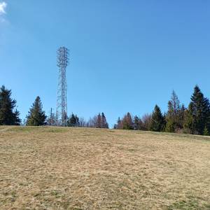 Klimczok (1117 m. n.p.m.) - klimczok 17