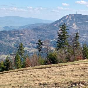 Klimczok (1117 m. n.p.m.) - klimczok 19