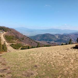 Klimczok (1117 m. n.p.m.) - klimczok 20