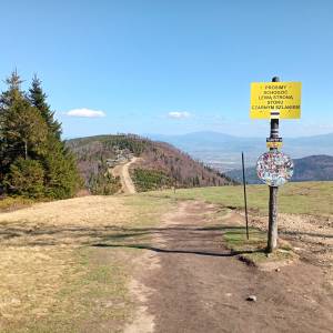 Klimczok (1117 m. n.p.m.) - klimczok 9