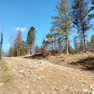 Szyndzielnia (1028 m. n.p.m.) - szyndzielnia 1028 m n p m 12