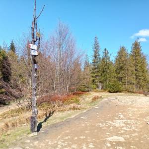 Szyndzielnia (1028 m. n.p.m.) - szyndzielnia 1028 m n p m 6
