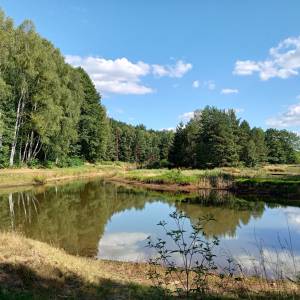 Użytek ekologiczny "Gierzyna" - uzytek ekologiczny gierzyna 2