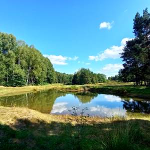 Użytek ekologiczny "Gierzyna" - uzytek ekologiczny gierzyna 5