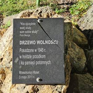 Drzewo Wolności w Kaletach-Zielonej - drzewo wolnosci w zielonej 2