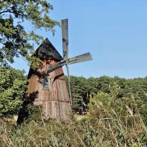 Drewniany wiatrak w Kaletach-Zielonej - drewniany wiatrak w kaletach zielonej 4