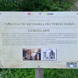 Pałac Zwierkowskich w Białej Wielkiej - palac zwierkowskich w bialej wielkiej 3