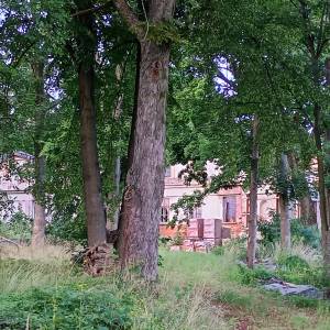 Pałac Zwierkowskich w Białej Wielkiej - palac zwierkowskich w bialej wielkiej 8