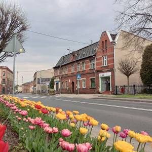 Układ urbanistyczny Miasteczka Śląskiego - rynek w miasteczku slaskim 2026 04 19 1