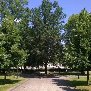 Park Konstytucji 3 Maja w Suwałkach - wp 20140726 001