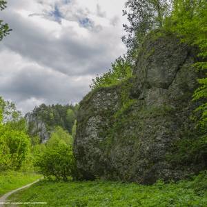 Dolina Kobylańska - gmina zabierzow poland panoramio 18