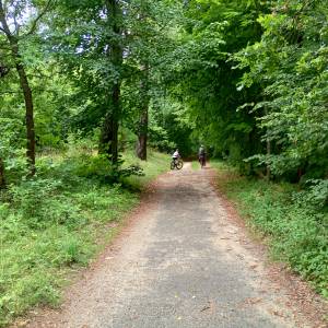 Park pałacowy Krasińskich w Złotym Potoku - park palacowy krasinskich w zlotym potoku 2