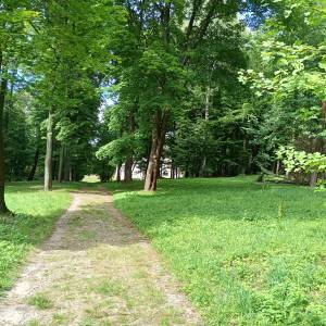 Park pałacowy Krasińskich w Złotym Potoku - park palacowy krasinskich w zlotym potoku 6
