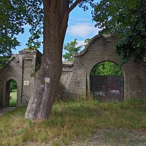 Park pałacowy Krasińskich w Złotym Potoku - park palacowy krasinskich w zlotym potoku 9
