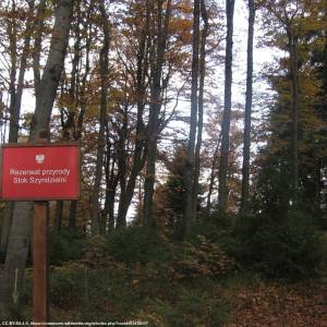 Rezerwat przyrody „Stok Szyndzielni” - rezerwat stok szyndzielni nature reserve poland
