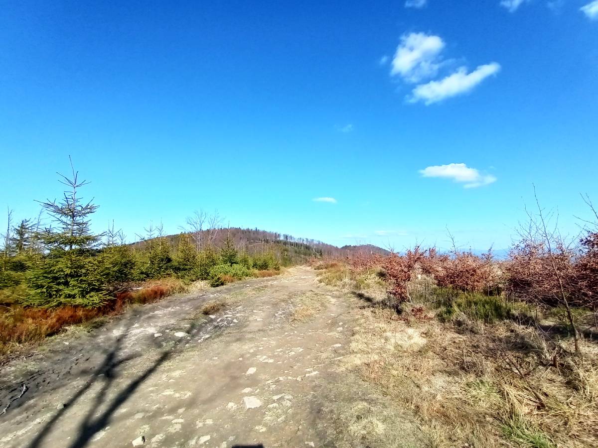 Trzy Kopce (1082 m n.p.m.) - trzy kopce 1082 m n p m 5