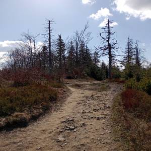 Trzy Kopce (1082 m n.p.m.) - trzy kopce 1082 m n p m 1