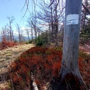 Trzy Kopce (1082 m n.p.m.) - trzy kopce 1082 m n p m 10