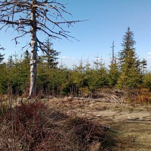 Trzy Kopce (1082 m n.p.m.) - trzy kopce 1082 m n p m 14