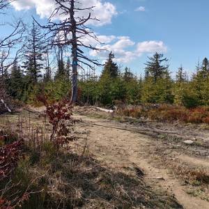 Trzy Kopce (1082 m n.p.m.) - trzy kopce 1082 m n p m 18