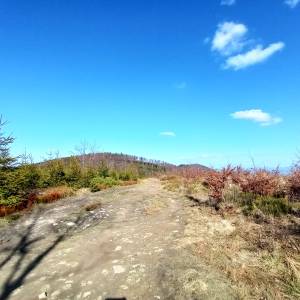 Trzy Kopce (1082 m n.p.m.) - trzy kopce 1082 m n p m 5