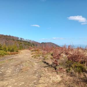Trzy Kopce (1082 m n.p.m.) - trzy kopce 1082 m n p m 6