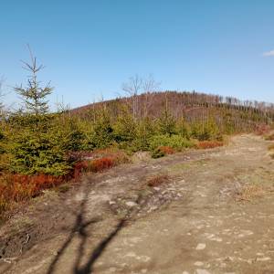 Trzy Kopce (1082 m n.p.m.) - trzy kopce 1082 m n p m 7
