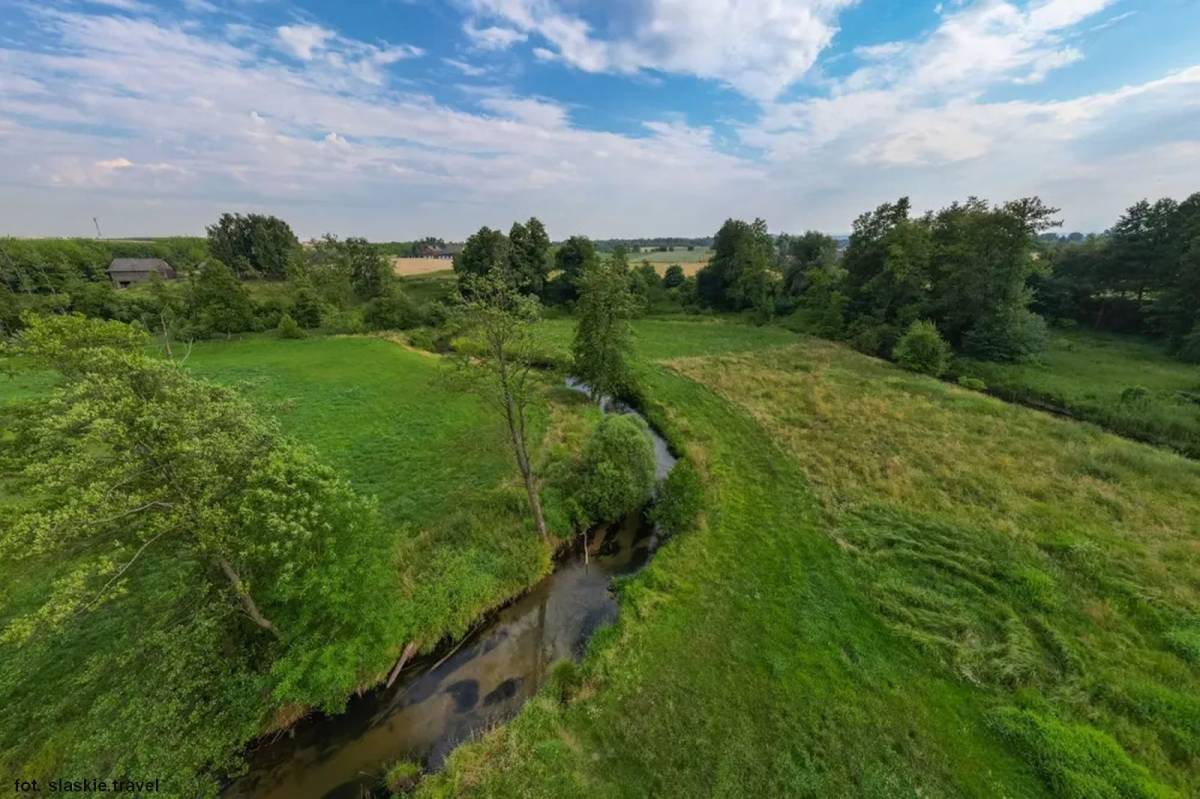 Białka Lelowska - splyw bialka lelowska 1