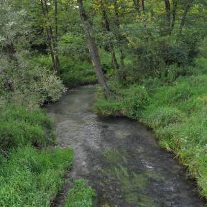 Białka Lelowska - bialka lelowska 4