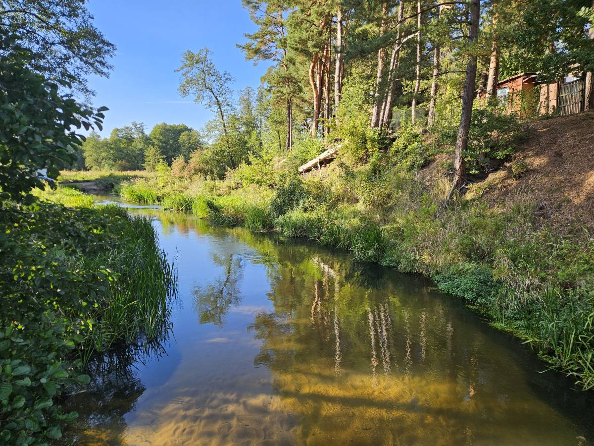 Suchy Młyn - natura 2000 suchy mlyn plh240016 1