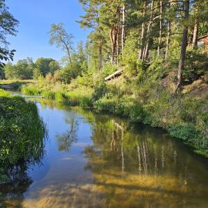 Suchy Młyn - natura 2000 suchy mlyn plh240016 1