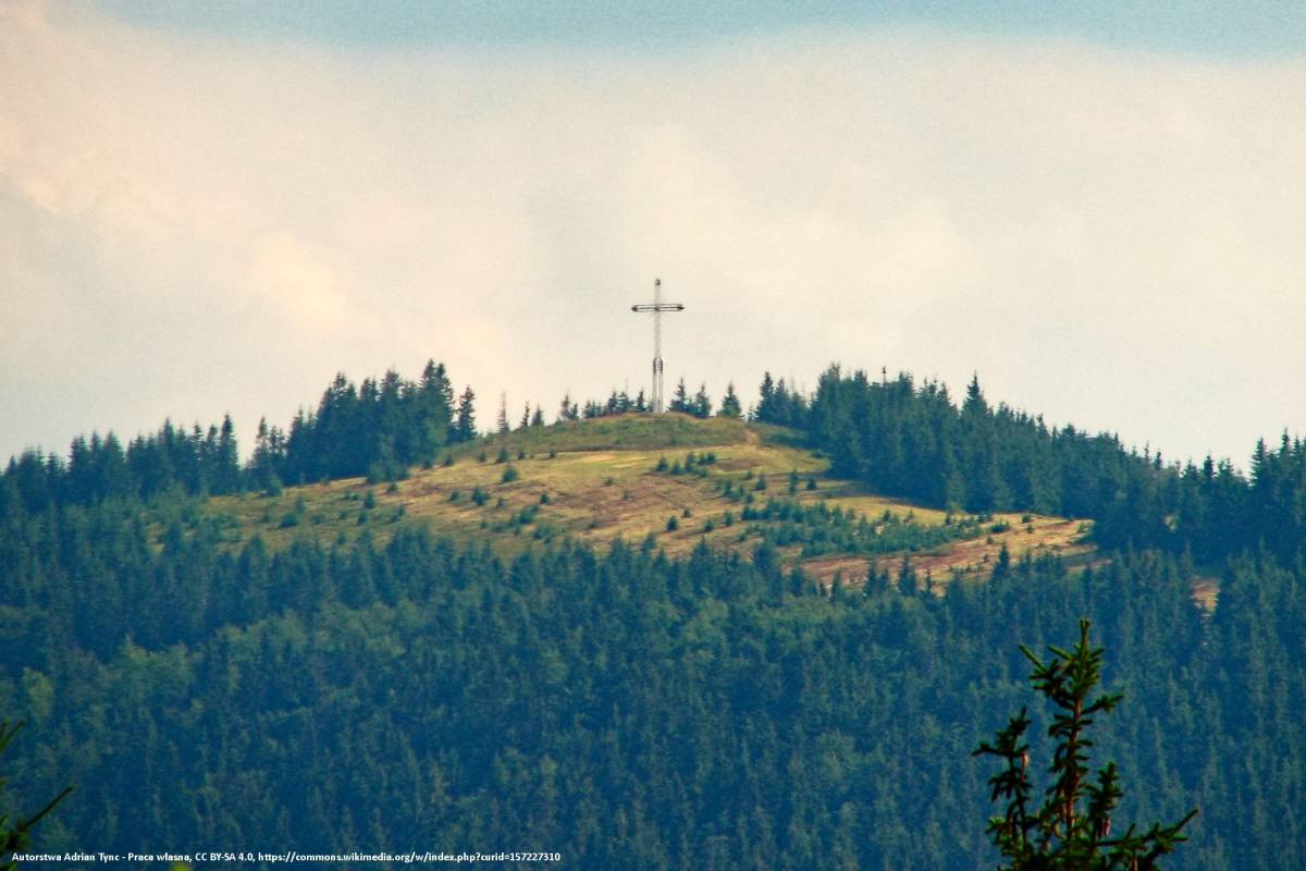 Bendoszka Wielka (1144 m n.p.m.) - bendoszka z praszywki